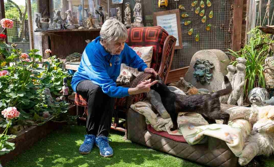 90-year-old Who Has Saved Over 10,000 Animals at Sanctuary Has No Plans to Retire