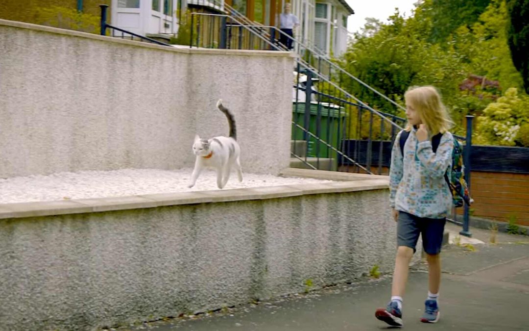 Cat Walks Boy to School Daily and Unites a Scottish Community–Vote for Him for UK National Cat Award