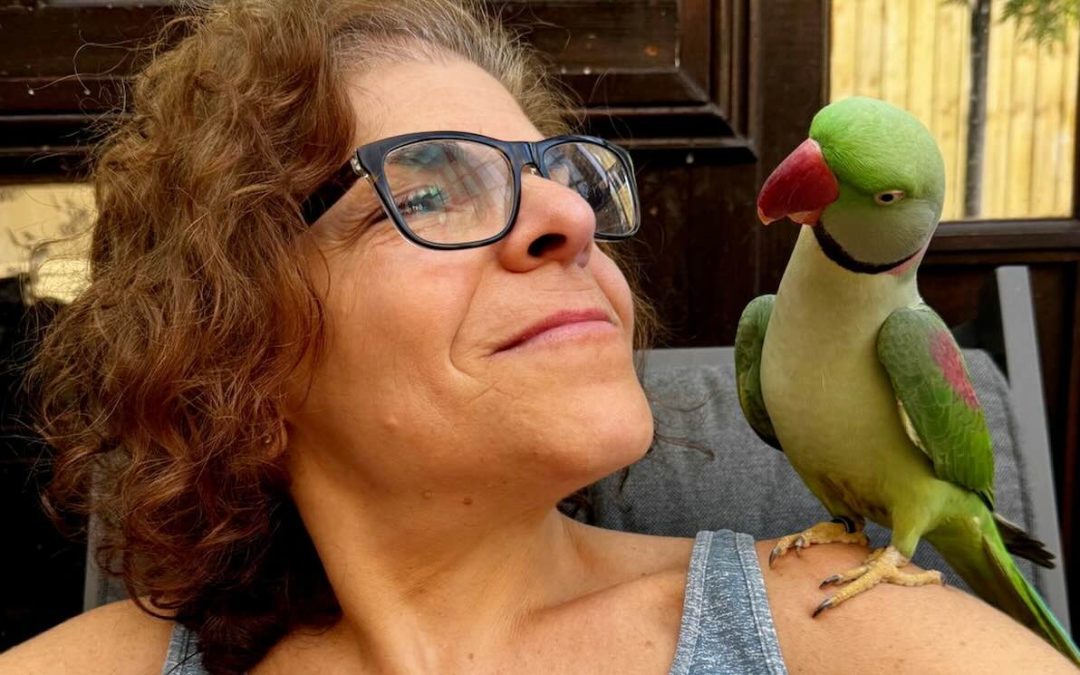 Family’s Escaped Parakeet Found More Than a Hundred Miles Away from Home: ‘That’s Unheard of’