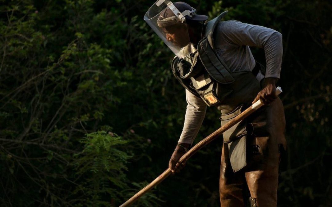 Nonprofit Removes 300,000 Landmines in Sri Lanka, Allows 280K People to Return to Their Homes