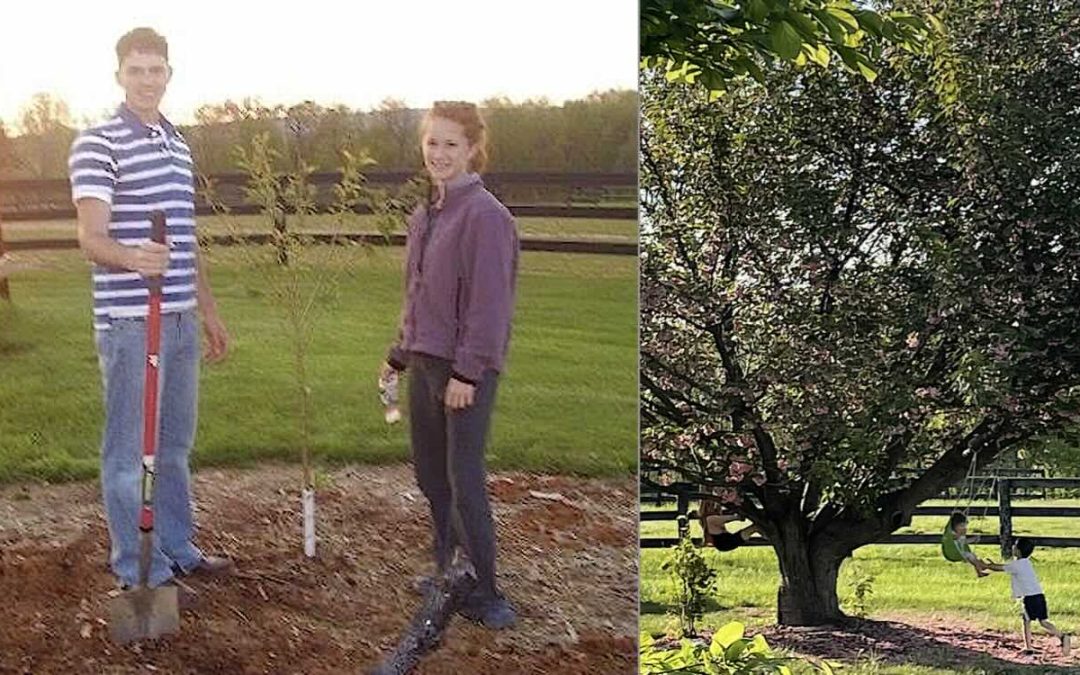 Tree They Planted as Teen Sweethearts Suddenly Had Baby Offshoot Growing After She Got Pregnant